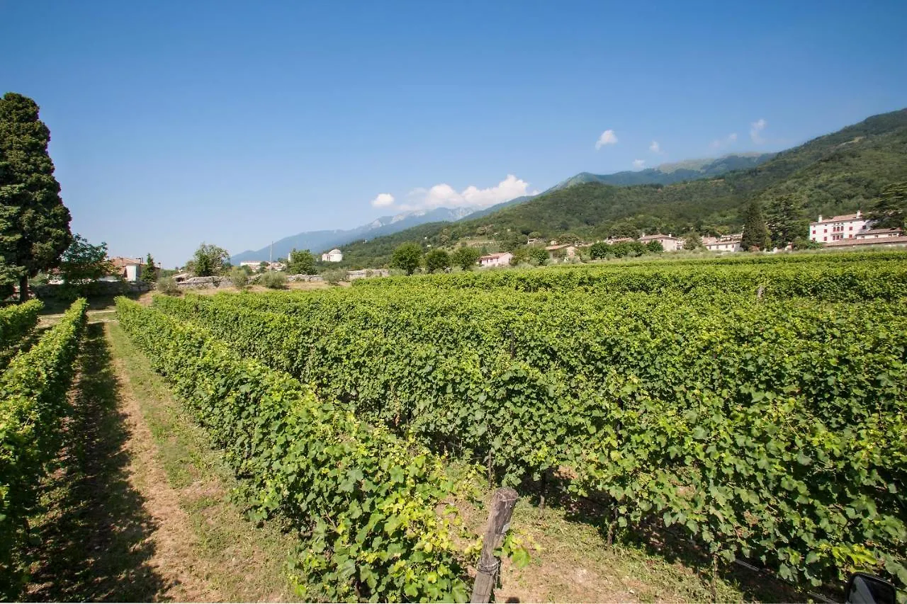 Farm stay Villa Premoli - Agriturismo Di Charme Cavaso Del Tomba Italy